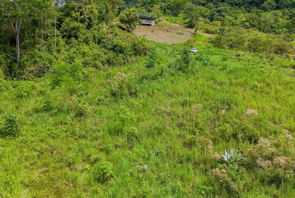 JUNGLE PROPERTY IN OJOCHAL – 4.1 ACRES, photo 14