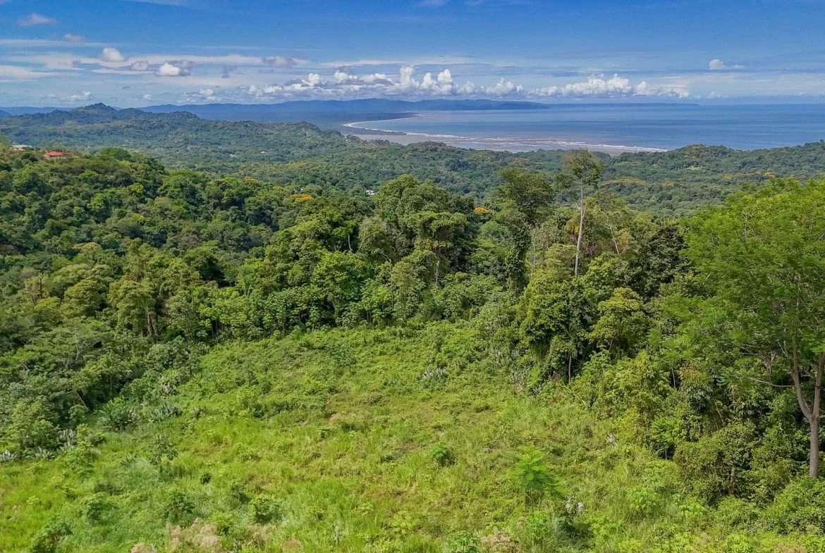 JUNGLE PROPERTY IN OJOCHAL – 4.1 ACRES, photo 18