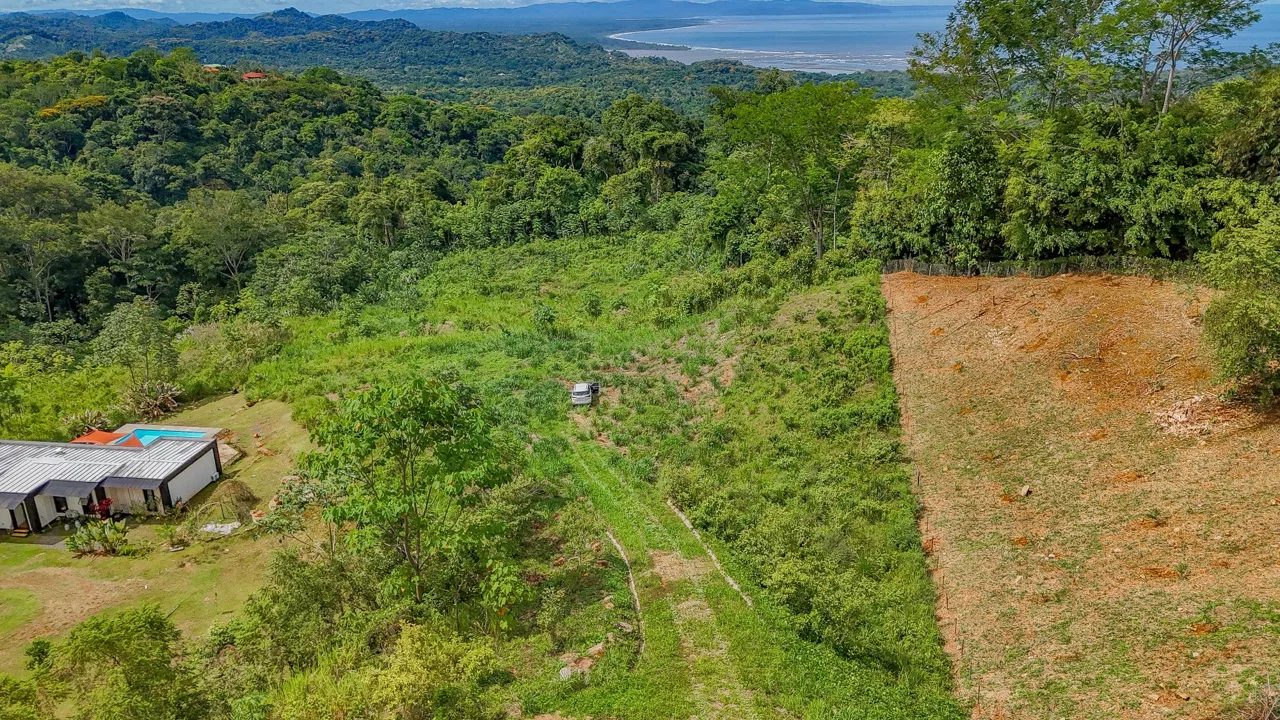 JUNGLE PROPERTY IN OJOCHAL – 4.1 ACRES, photo 21