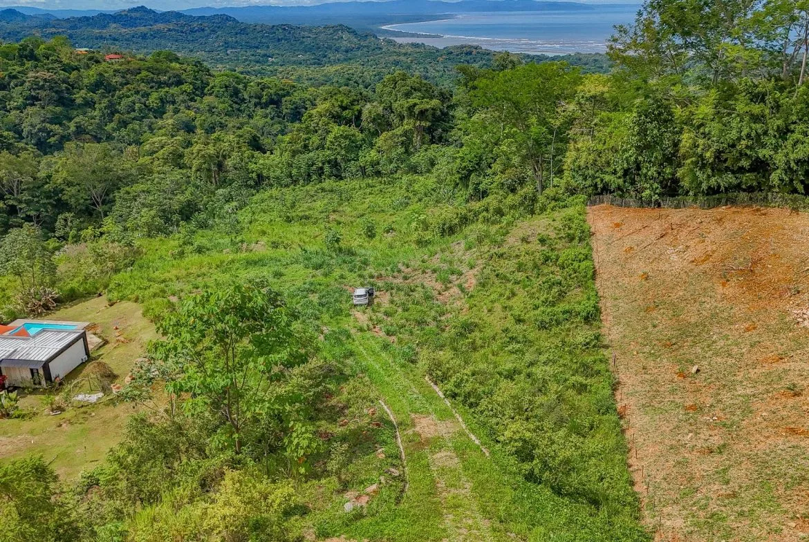JUNGLE PROPERTY IN OJOCHAL – 4.1 ACRES, photo 22
