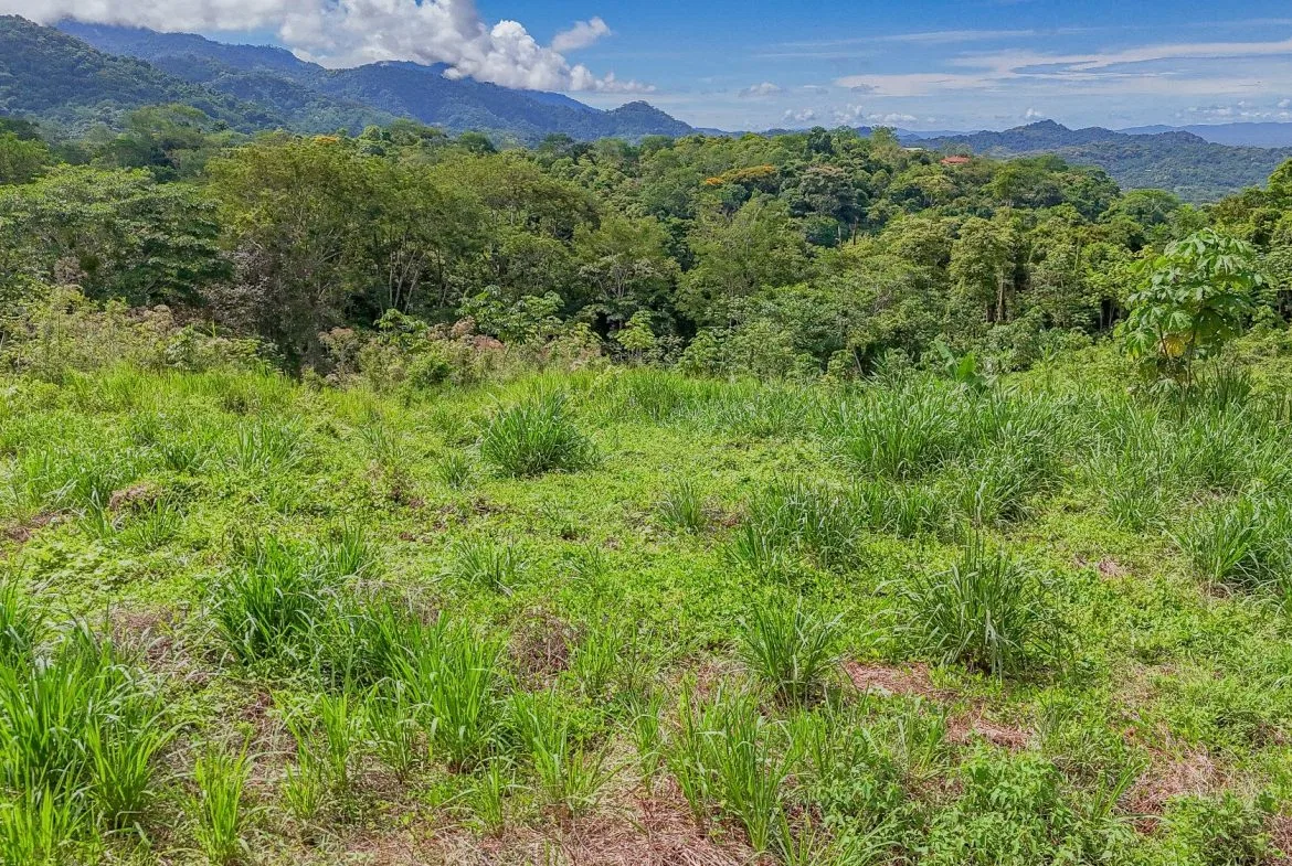 JUNGLE PROPERTY IN OJOCHAL – 4.1 ACRES, photo 24