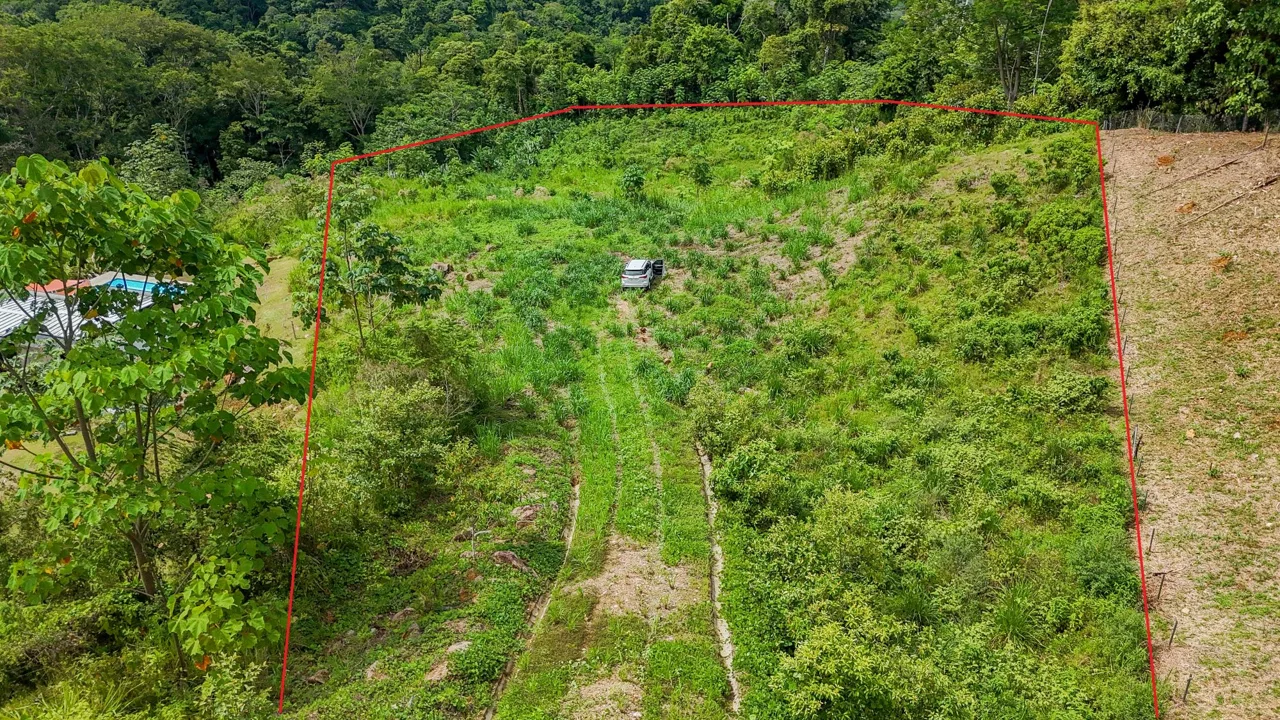 JUNGLE PROPERTY IN OJOCHAL – 4.1 ACRES, photo 9