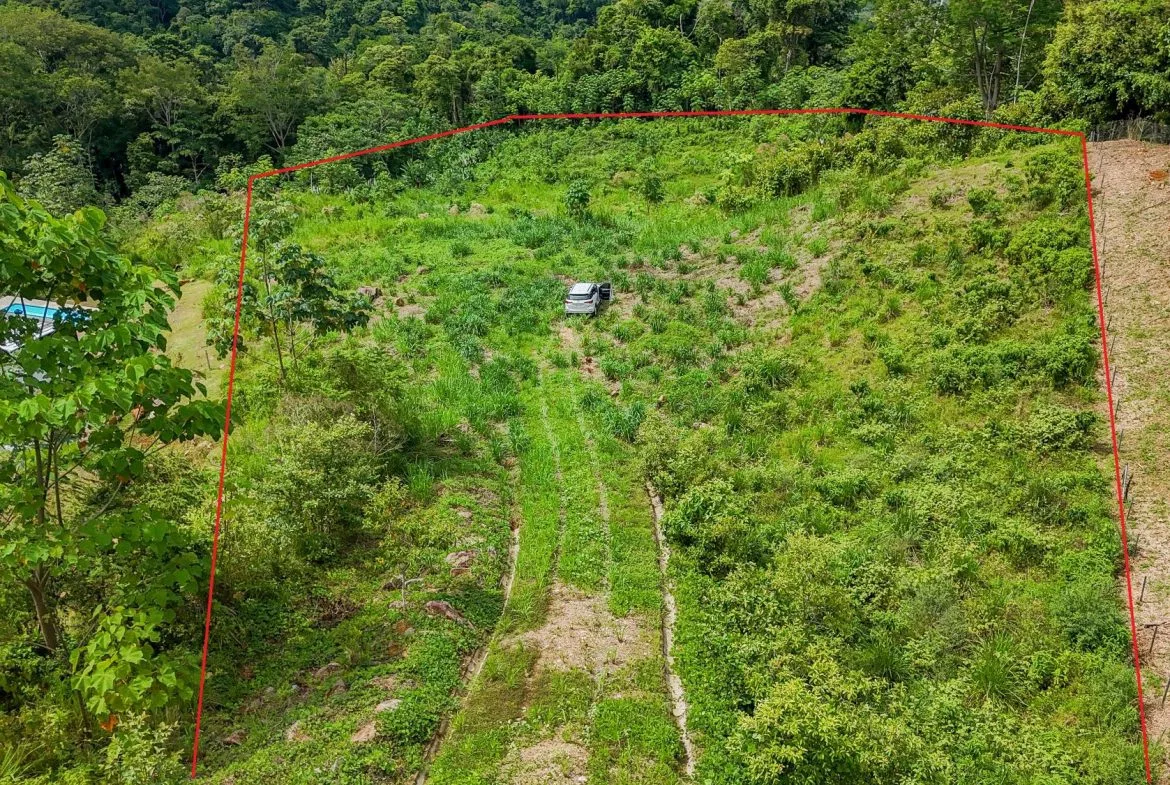 JUNGLE PROPERTY IN OJOCHAL – 4.1 ACRES, photo 10