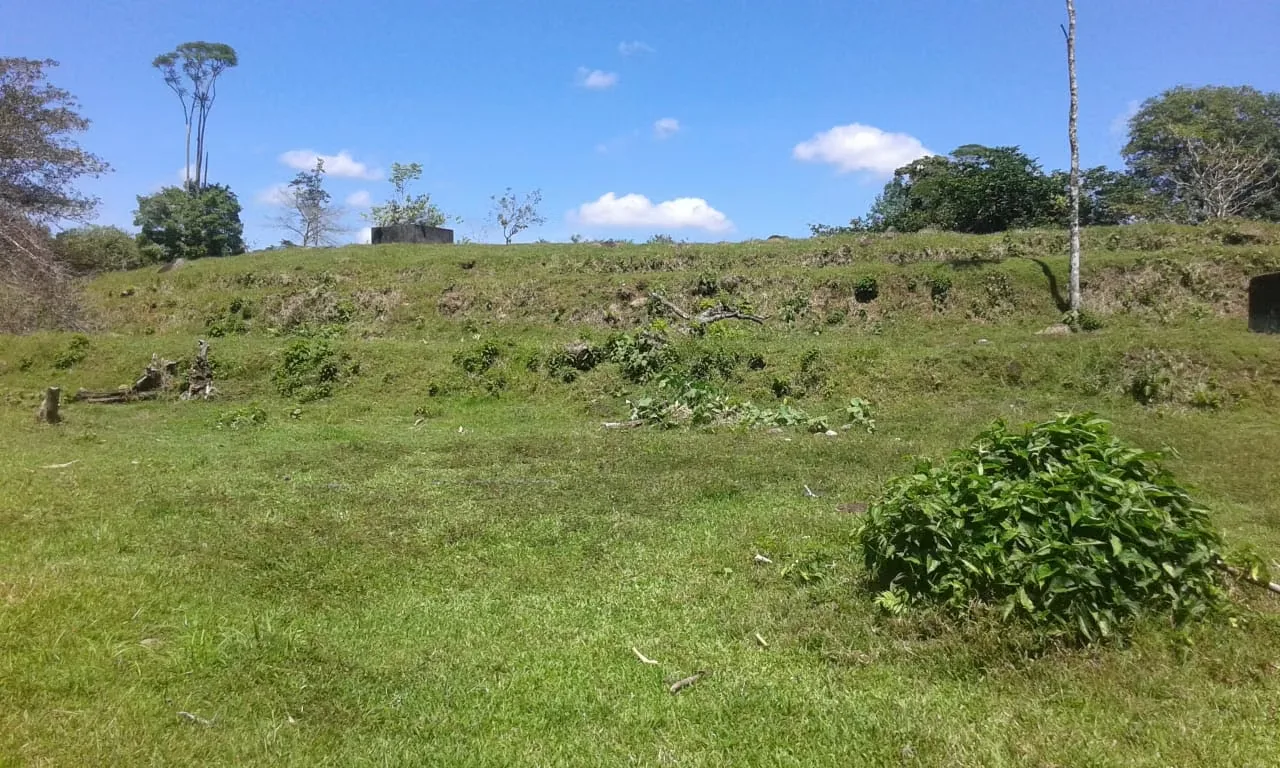 MA ASESORÍA Vende Finca of 70 Hectareas with great diversity of wildlife in area of high tourist value, 10 minutes from the best beaches such as Punta Uva, Manzanillo and Puerto Viejo ...