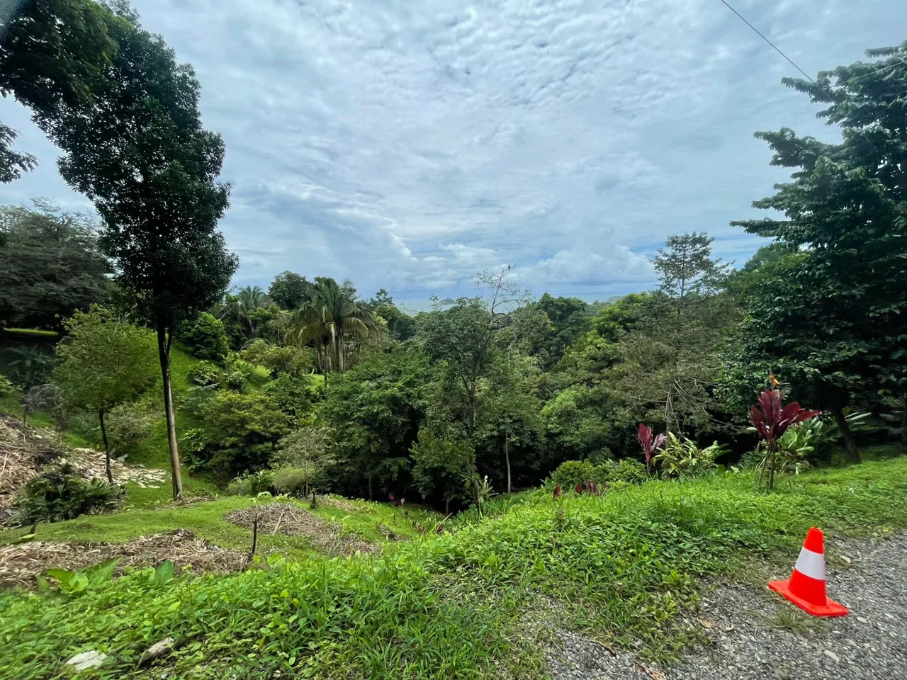 Lot for Sale(#2), located in Manuel Antonio – Biezans Road