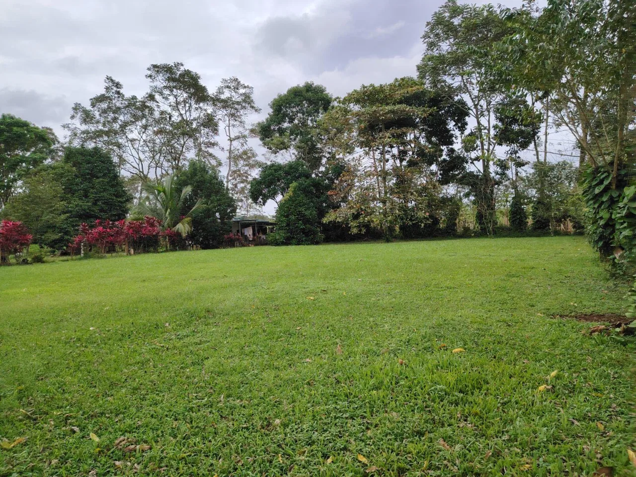 Lote en Venta en La Palmera ,San Carlos
