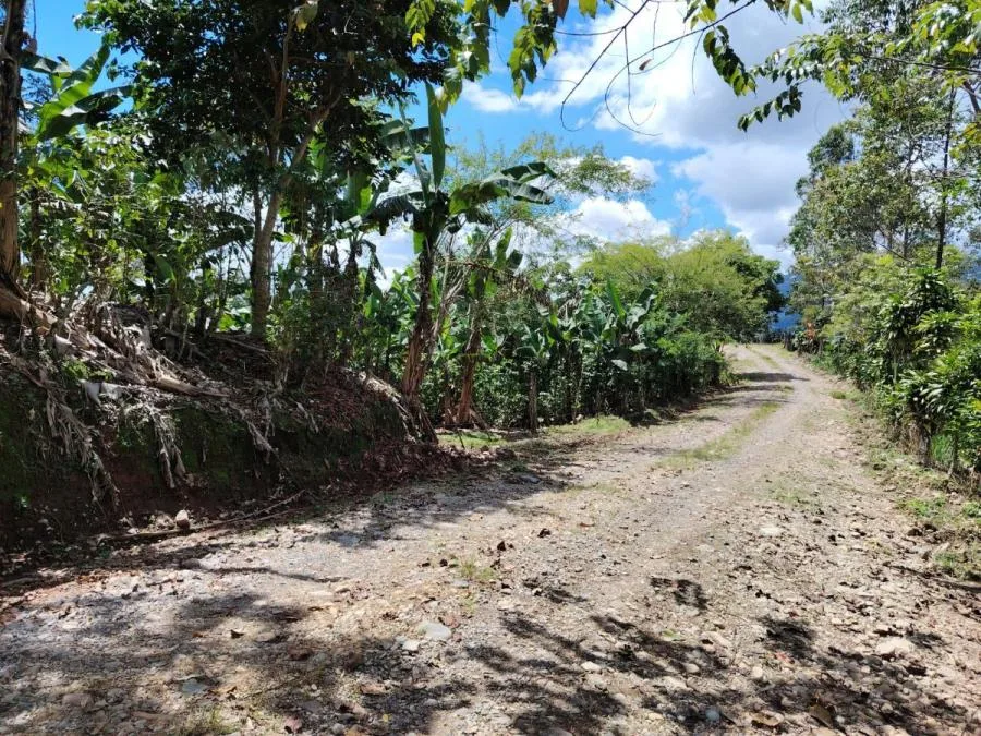 EN VENTA – TERRENO EN LA FILA, RIVAS (PÉREZ ZELEDÓN) - Venta en Perez Zeledón, photo 11