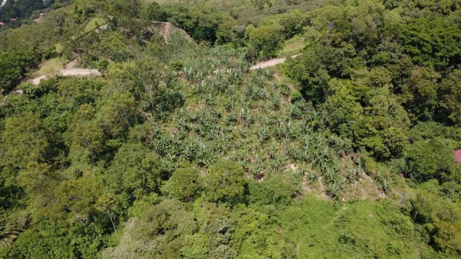 EN VENTA – TERRENO EN LA FILA, RIVAS (PÉREZ ZELEDÓN) - Venta en Perez Zeledón, photo 6