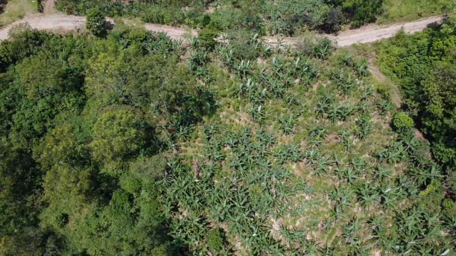 EN VENTA – TERRENO EN LA FILA, RIVAS (PÉREZ ZELEDÓN) - Venta en Perez Zeledón, photo 7