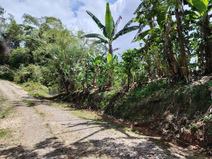 EN VENTA – TERRENO EN LA FILA, RIVAS (PÉREZ ZELEDÓN) - Venta en Perez Zeledón, photo 9