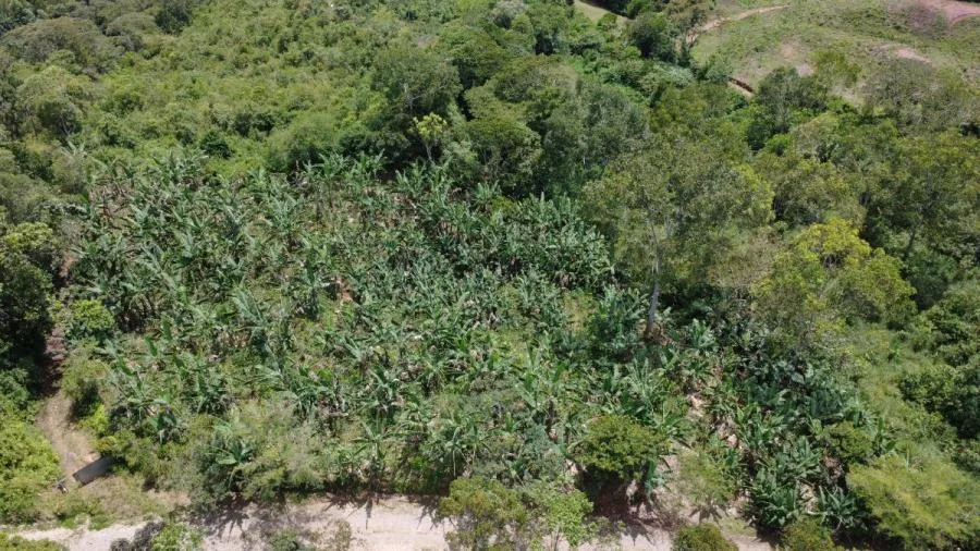 EN VENTA – TERRENO EN LA FILA, RIVAS (PÉREZ ZELEDÓN) - Venta en Perez Zeledón, photo 10