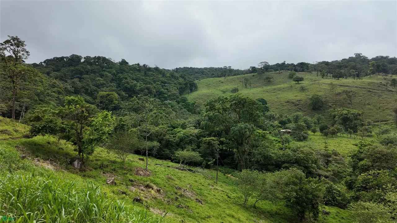cam. viejo al pilon, Bijagua, Alajuela 21304