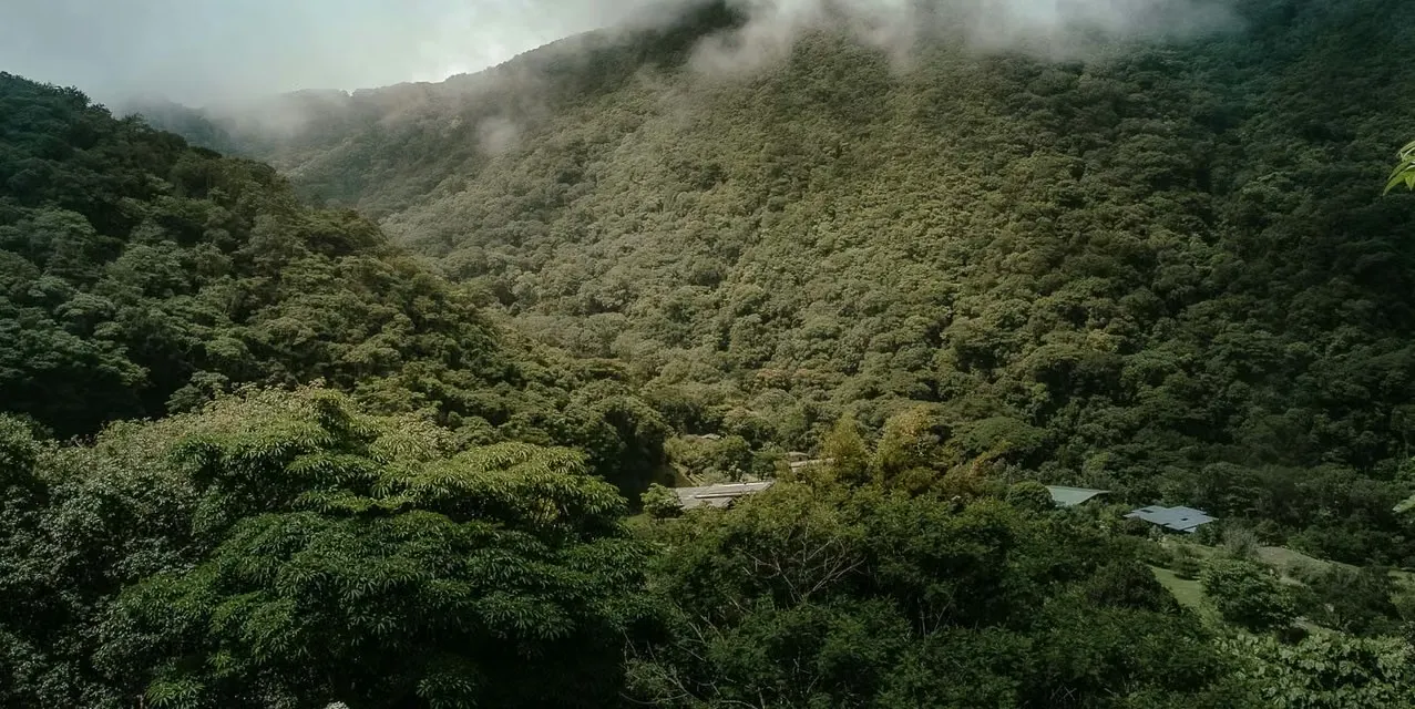 2-bedroom off-grid house with independent apartment in Salvaje, Acosta, featuring large land, nature views, and privacy near San José, Costa Rica., photo 5