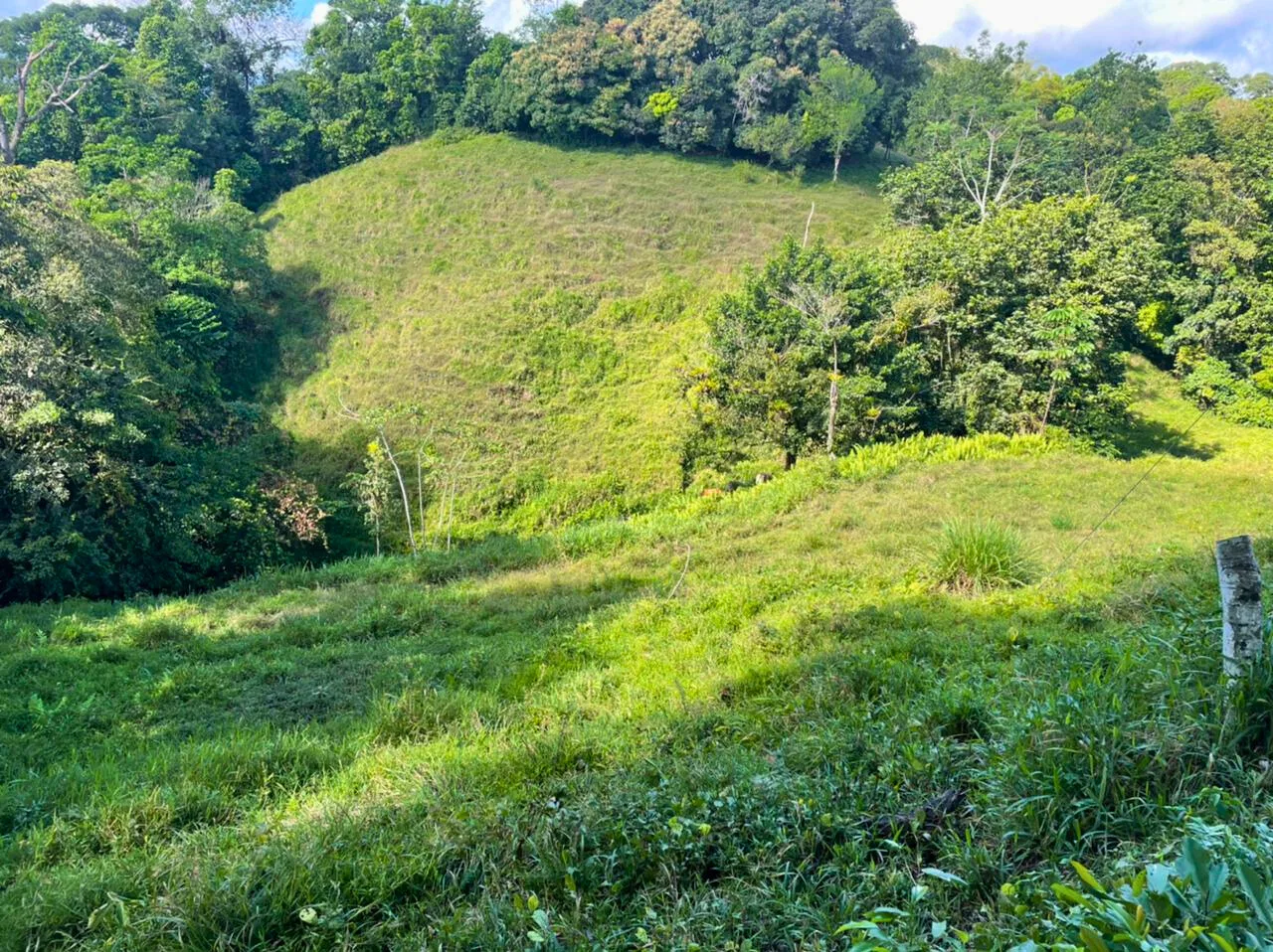 187,508 m² Land for Sale in Llano Bonito, Golfito, Puntarenas | Development Land with Water - REMAX Jungle Properties | Pavones Golfito Real Estate