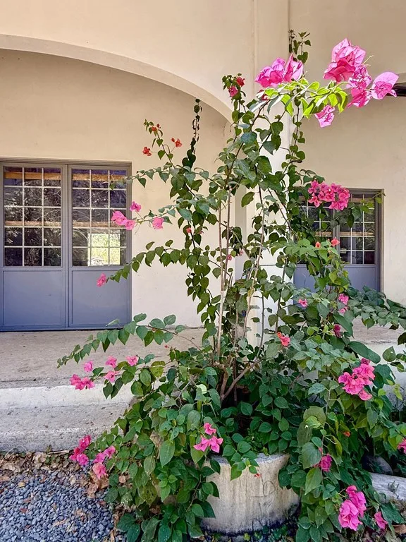 House in Playa Organos, photo 6