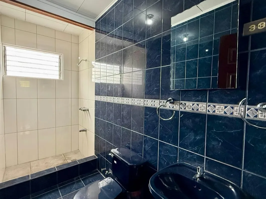 House/Office or Commercial Premises for Rent in Los Yoses, photo 8
