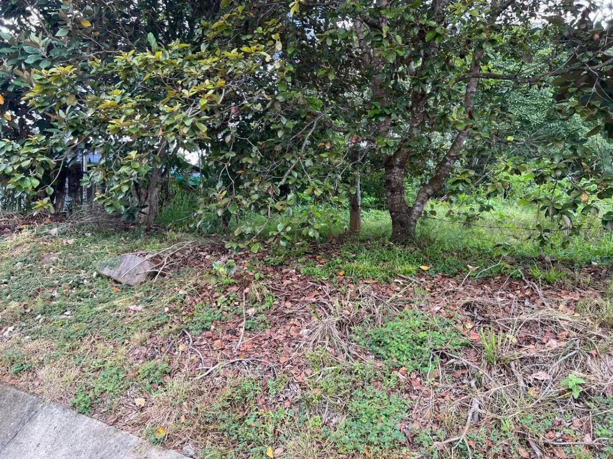 Lote en venta con excelente ubicación y fácil acceso en Turrubares #26-1315 GS - Venta en Turrubares