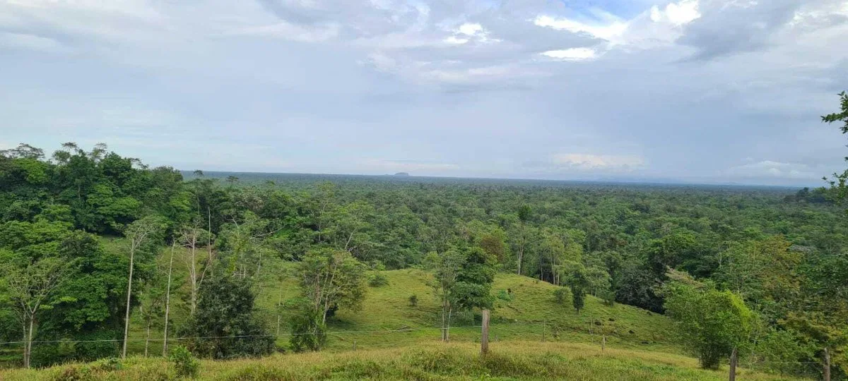 Venta finca ganadera 68ha con potencial turístico y forestal #24-711 GS - Venta en Pococí