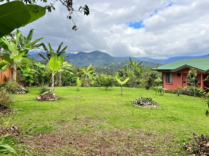 3 Bed Single Family Homes For Sale in Perez Zeledon, photo 7