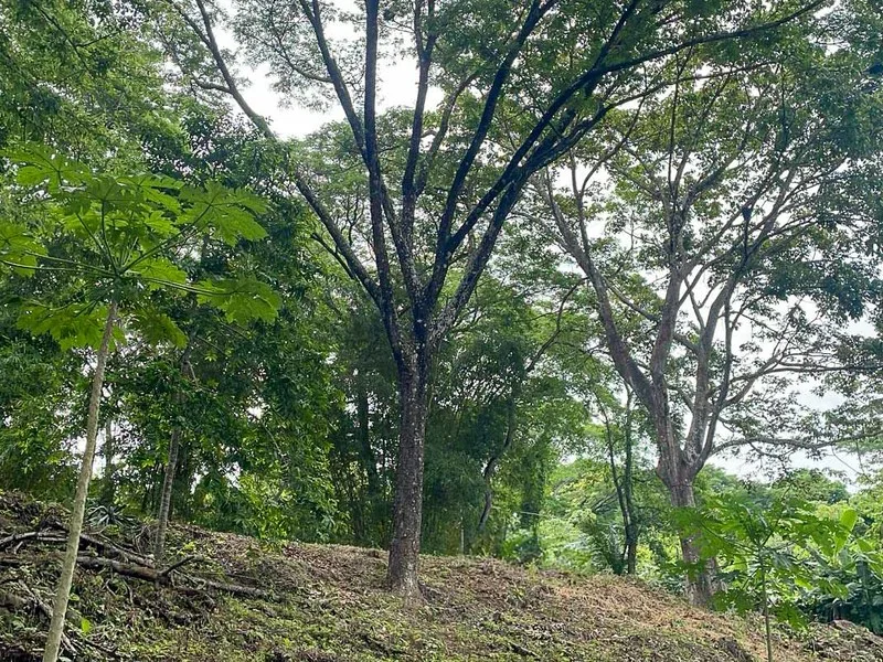 Land For Sale in Santiago, photo 2