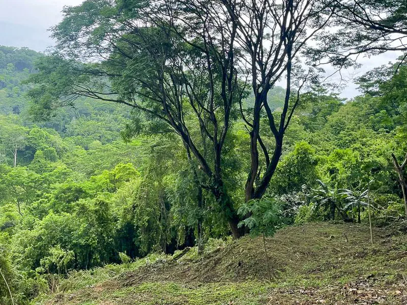 Land For Sale in Santiago, photo 3