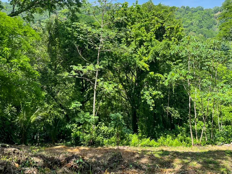 Land For Sale in Santiago, photo 4