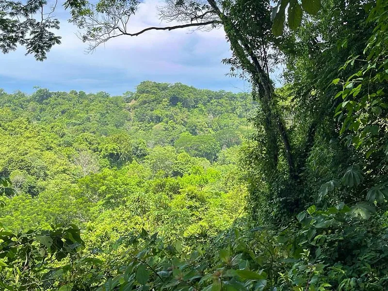 Land For Sale in Santiago, photo 5