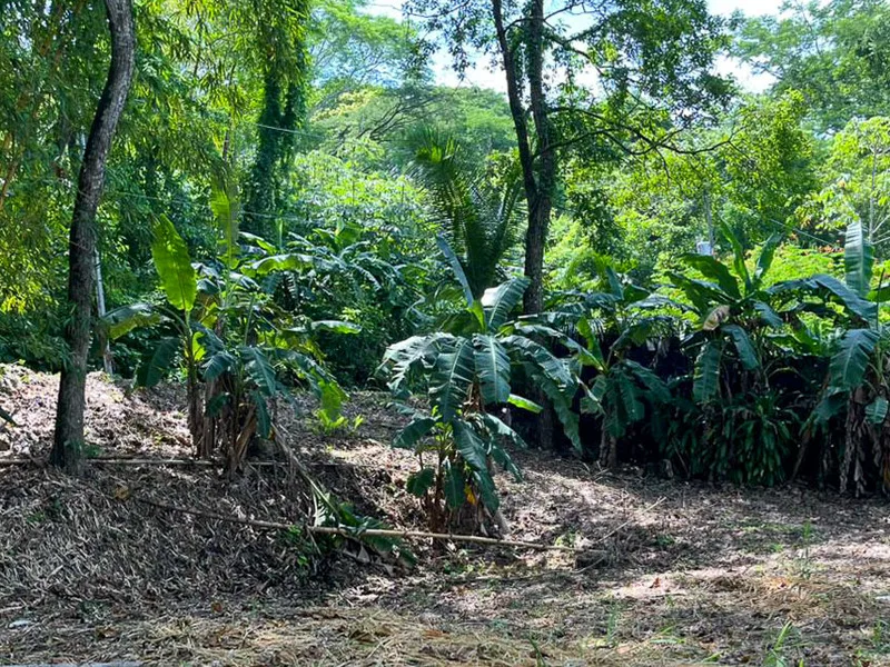 Land For Sale in Santiago, photo 6