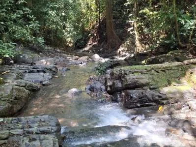 Finca Ecológica de 30 Hectáreas en Puriscal | Oportunidad de Desarrollo de Eco-Lodge y Glamping