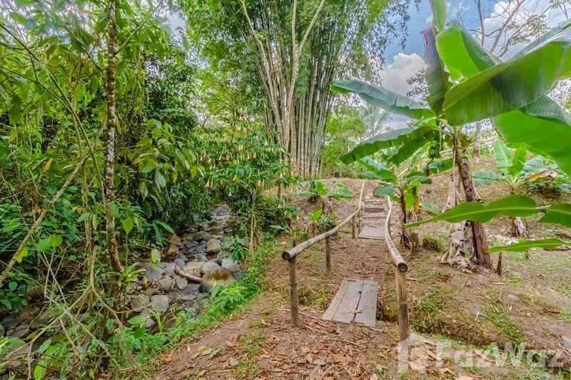4 Bedroom House for Sale in Perez Zeledon, San Jose for $399,000, photo 6