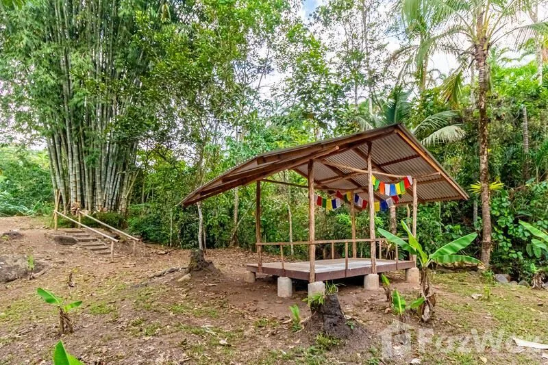 4 Bedroom House for Sale in Perez Zeledon, San Jose for $399,000, photo 8