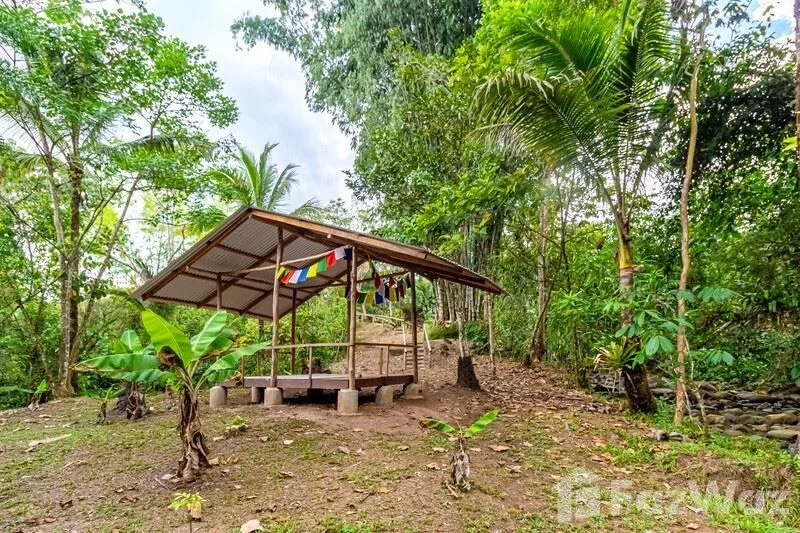 4 Bedroom House for Sale in Perez Zeledon, San Jose for $399,000, photo 9