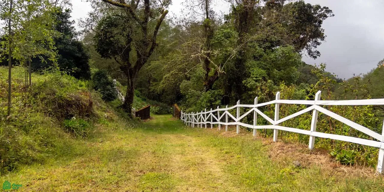 Division, Paramo, San Jose 11911