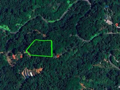 Terreno listo para construir con fácil acceso en un entorno de selva tropical exuberante., photo 2