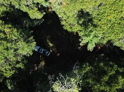 Terreno listo para construir con fácil acceso en un entorno de selva tropical exuberante., photo 4