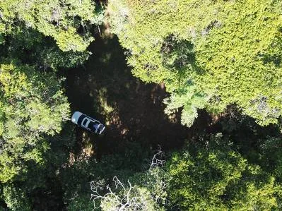 Terreno listo para construir con fácil acceso en un entorno de selva tropical exuberante., photo 5