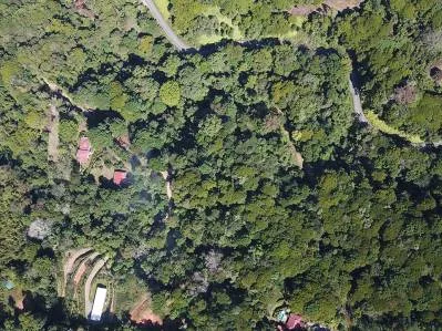 Terreno listo para construir con fácil acceso en un entorno de selva tropical exuberante., photo 6