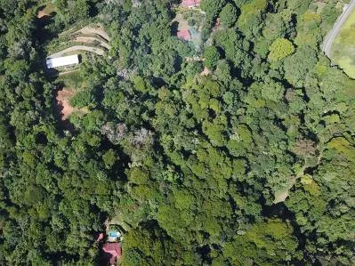 Terreno listo para construir con fácil acceso en un entorno de selva tropical exuberante., photo 7