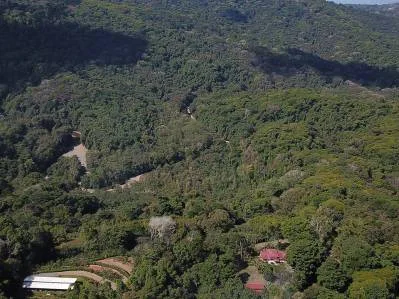 Terreno listo para construir con fácil acceso en un entorno de selva tropical exuberante., photo 9