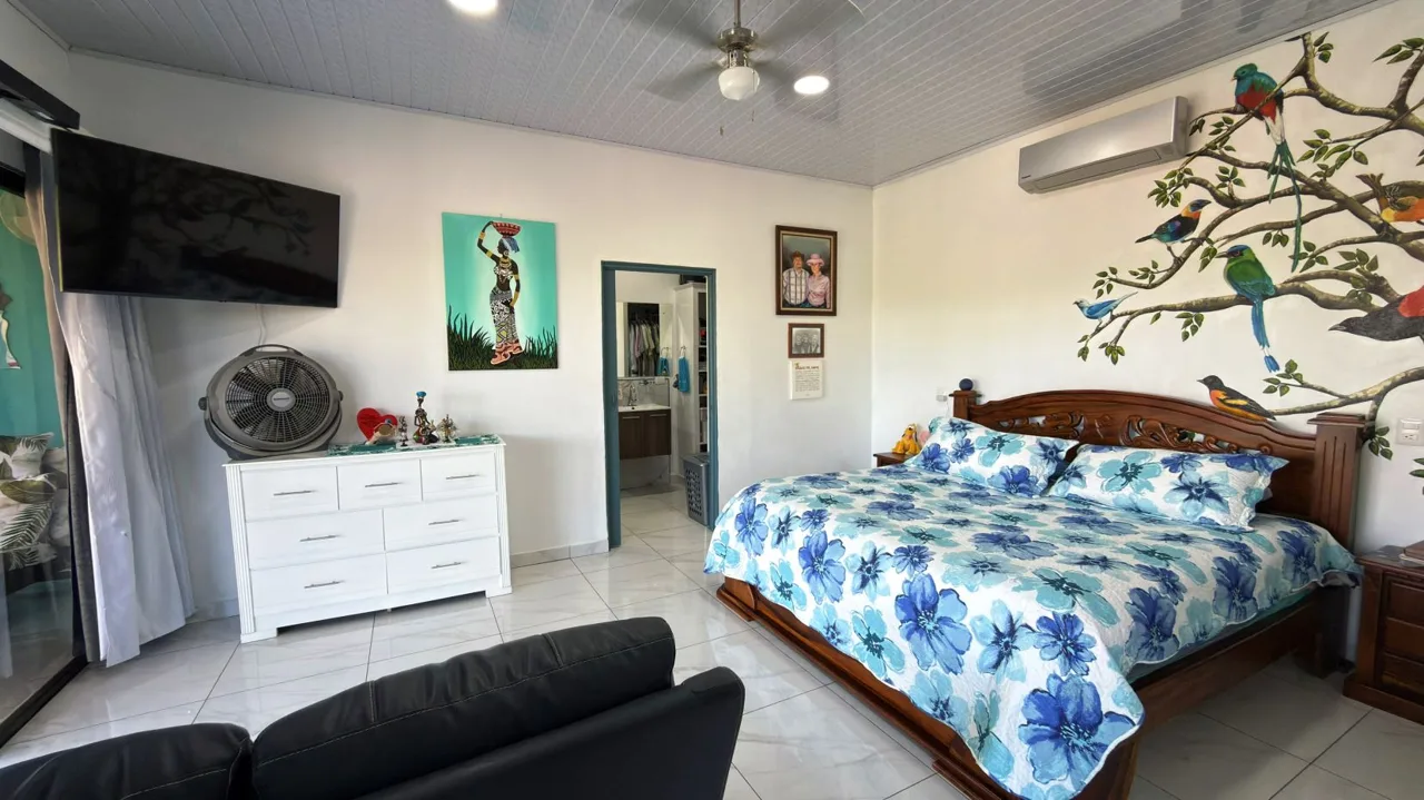 For Sale: Beautiful 3-Bedroom Home in Perez Zeledon, Costa Rica, photo 6