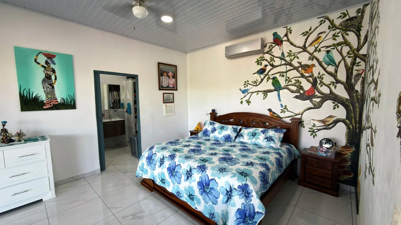 For Sale: Beautiful 3-Bedroom Home in Perez Zeledon, Costa Rica, photo 8