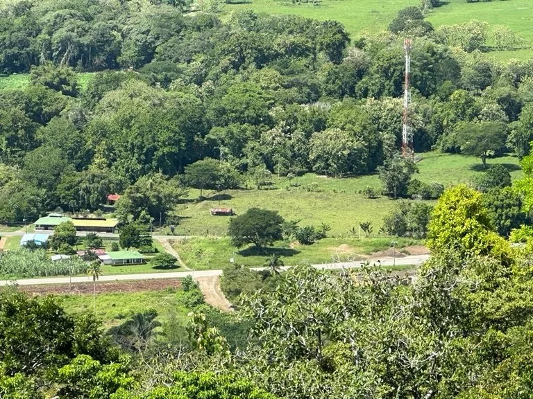 Exceptional Development Opportunity in Puerto Cortes, Osa