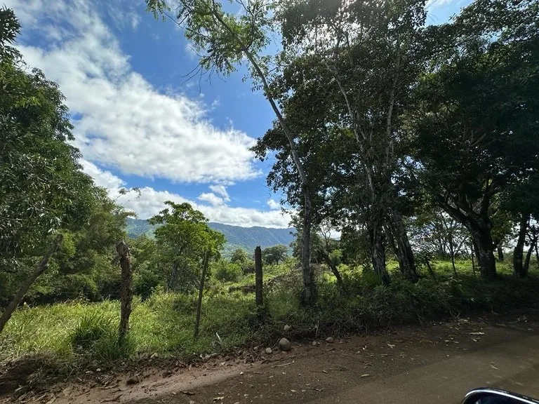 Exceptional Development Opportunity in Puerto Cortes, Osa, photo 3