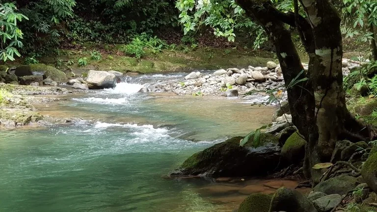 Exceptional Development Opportunity in Puerto Cortes, Osa, photo 4