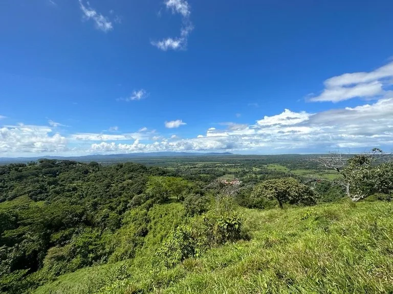 Exceptional Development Opportunity in Puerto Cortes, Osa, photo 5