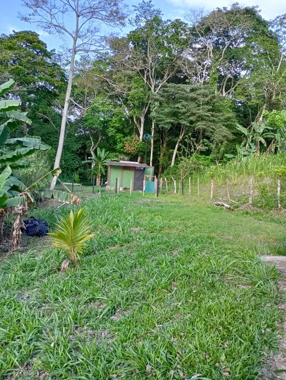 Home Construction Site in La Tejona, photo 2