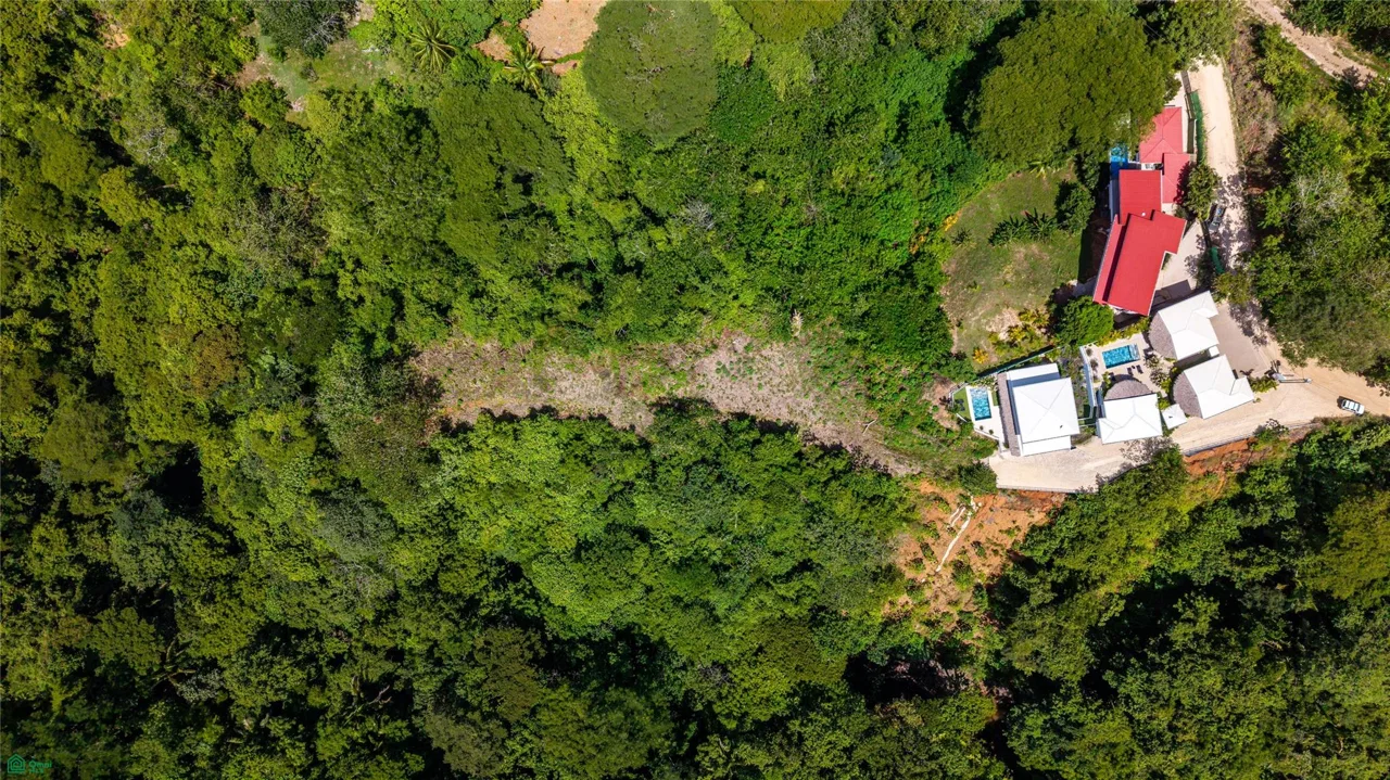 Mirador del Pacifico, photo 11