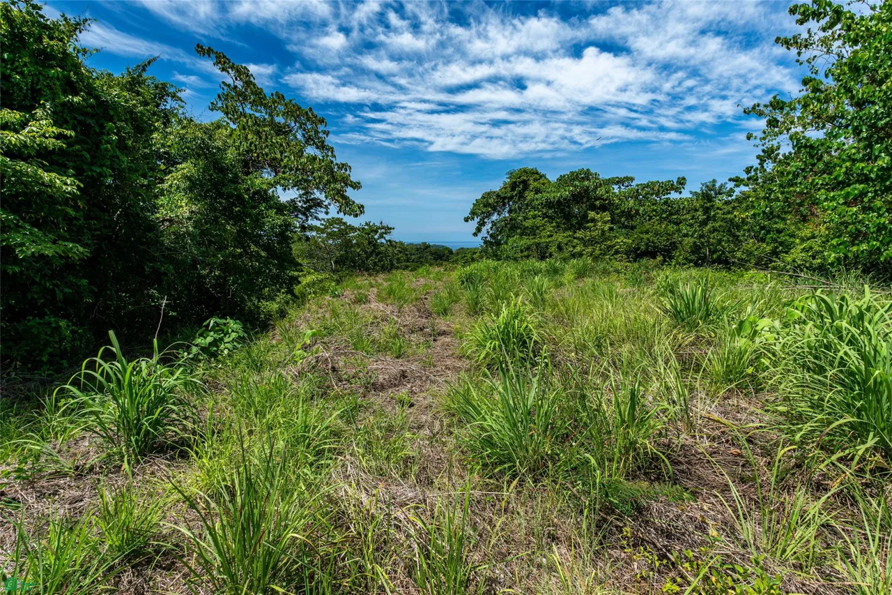 Mirador del Pacifico, photo 7