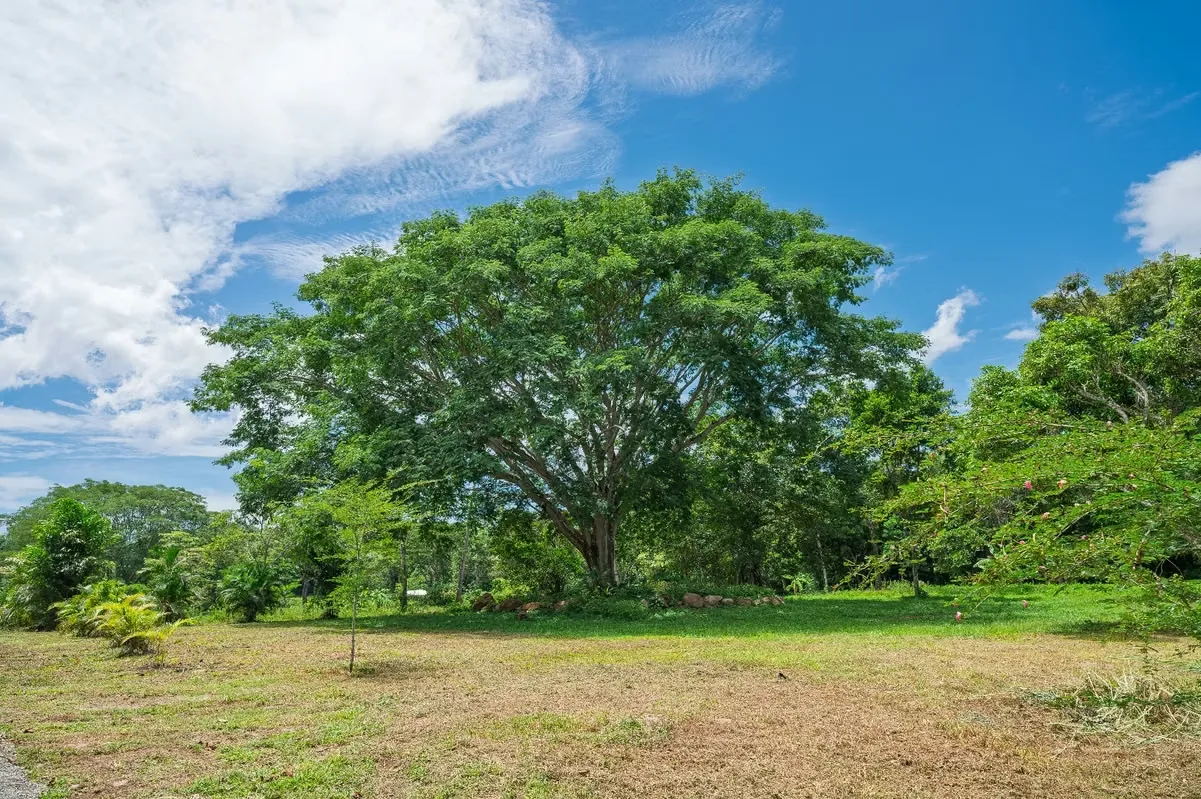 7 LARGE 5,000 M² LOTS FOR SALE IN MIRAMAR, PUNTARENAS, COSTA RICA