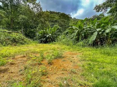 Gran terreno en la selva en venta en Ojochal, Costa Rica, photo 3